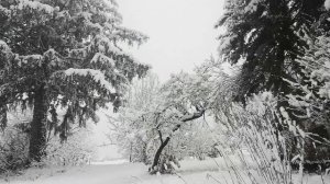 Стихотворение "Зима" Есенин Сергей