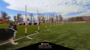 Purina® Pro Plan® Challenge Cup 2022