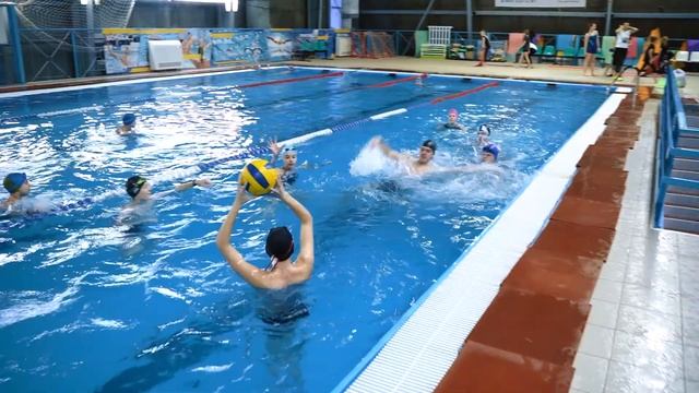 Синхронное и оздоровительно-спортивное плавание