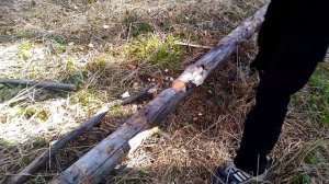 Рубим дерево универсальным топором