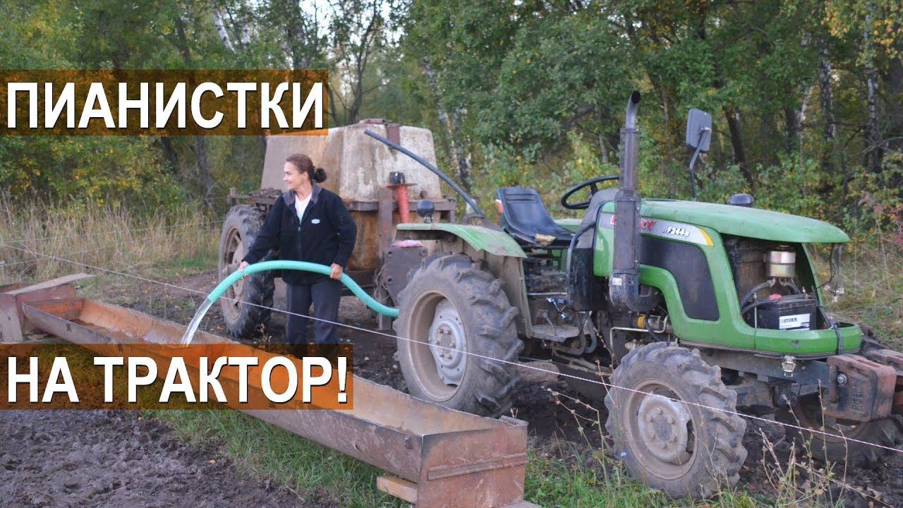 Пианистки на трактор! Семейная ферма КФХ Герефорд