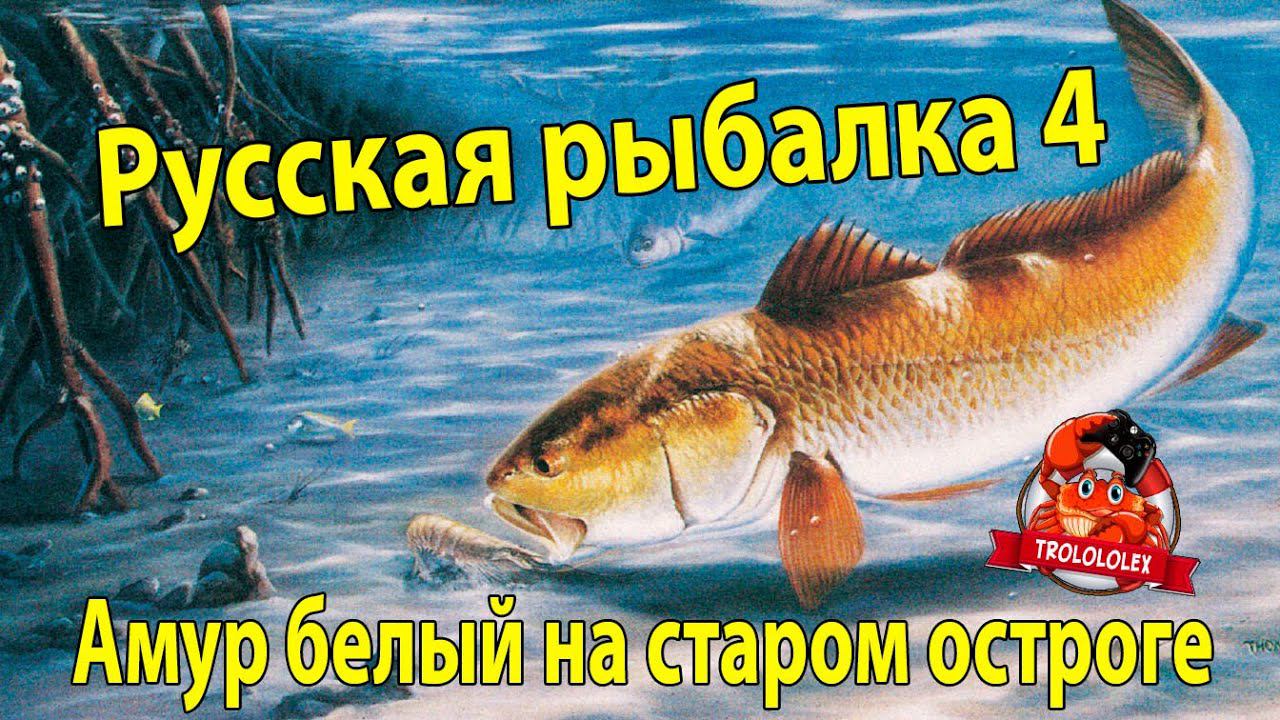 Русская рыбалка 4 Старый острог Амур белый Разговоры о микрофоне
