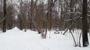 Ботанический сад 29 марта 2022г.