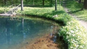 Парк – усадьба «Горки»