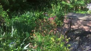 Pooh Corner, Shropshire: a plantswoman's garden