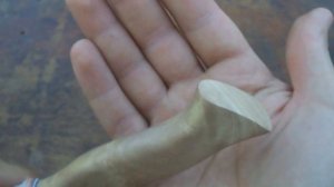 Нож из Напильника. Рукоять берест  ( вяз ) Своими Руками