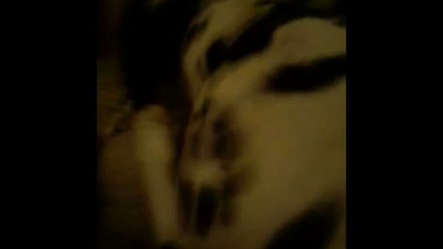 Crazyyyyy Элко-dog) смотреть онлайн