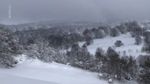 Le peuple des forêts (3-3) - Au fil de l'histoire_Arte_2018_01_04_23_48