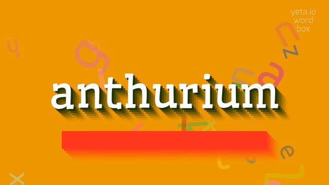 HOW TO PRONOUNCE ANTHURIUM? #anthurium смотреть онлайн