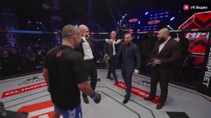 Персидский Дагестанец VS Брандао. Авдал VS Сибирский Конор. Джуниор VS Король Джунглей. Жинкин Лев
