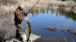 Хотел покушать Гольянов с яйцами Деревенская рыбалка