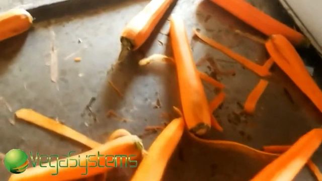 Ножевая очистка моркови Vega Peeled Carrots 350 смотреть онлайн