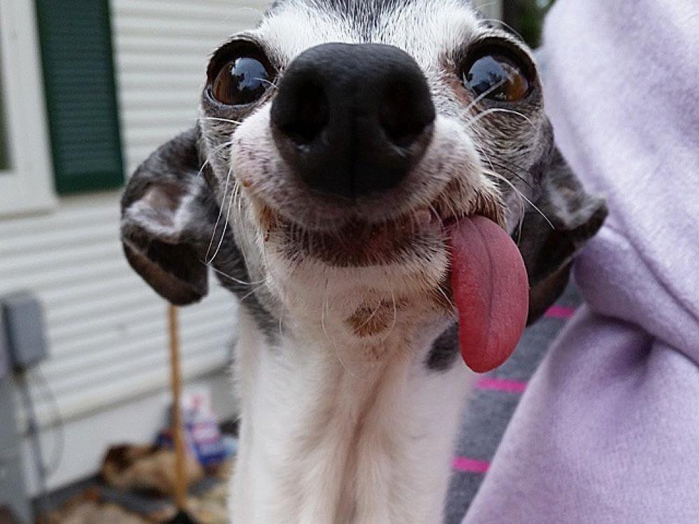 У Кармен критические дни. смотреть онлайн