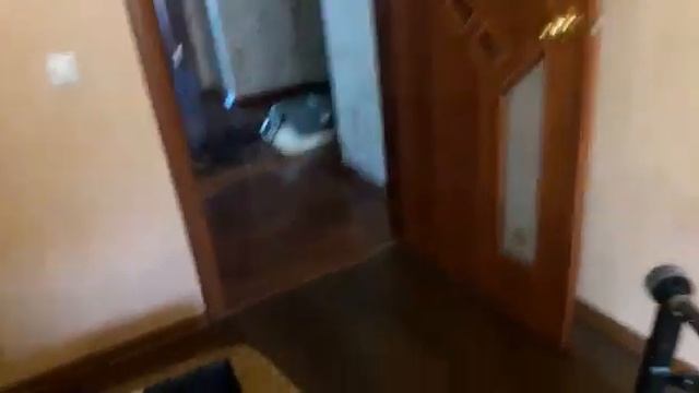 Подготовка квартиры к обработке от насекомых | СЭС Главдезцентр смотреть онлайн