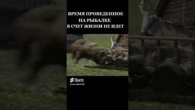 когда хочется селфи)) смотреть онлайн