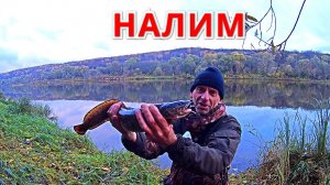 ДОНКИ - ПОСТАВУХИ НА НАЛИМА. Рыбалка на ОКЕ в октябре.