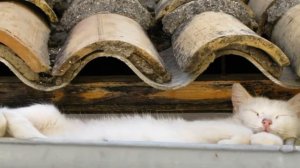 Классическая музыка для сна