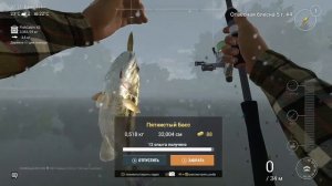 Fishing Planet: БУДЕТ УЛОВ!