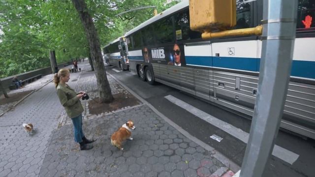 Inmotion V5F Chronicles of my daily commute to Manhattan, New York 5-30-19 Gear in description смотреть онлайн