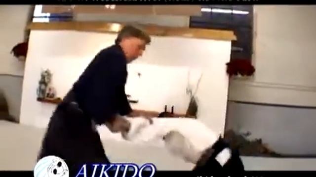 AIKIDO SCHOOLS of NJ, Roselle Park TV Commercial Rick M Stickles by Greenrose Media смотреть онлайн