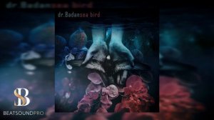 Dr. Badan - Sea Bird I ПРЕМЬЕРА АЛЬБОМА 2021