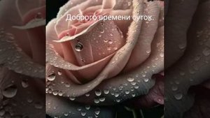 Мамино сердце (музыкальная композиция Жасмин). День матери. Творчество Елены Митрофановой.