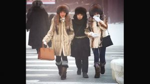 Покупаем ОДЕЖДУ для ВЫЖИВАНИЯ на Севере. Якутия -50