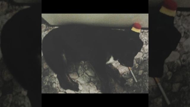 Нэстас - Баллада Растамана(Russian Rap)