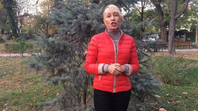 В каких Женщин влюбляются все Мужчины смотреть онлайн