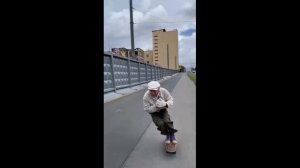 Коты Одновременно Почувствовали Землетрясение