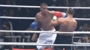 Badr Hari vs Stefan Leko        . K-1 World Grand Prix 2005