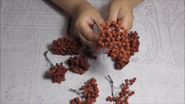 Как высушить рябину для осенних композиций и новогодних композиций.