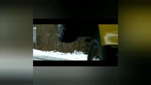 Провал или удача?