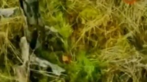 Подземный город Третьего Рейха Тайны века