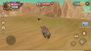 получаем ранг Великий Мастер? Вайлд крафт??