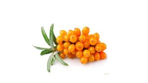 УЧИМ ЯГОДЫ/Карточки для малышей/Ягоды для малышей/Домана/LEARNING BERRIES