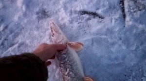 Флажок на расвете, красота.