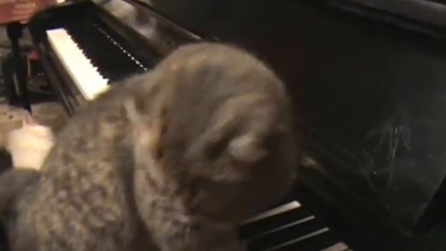 Глинка в обработке Алексея Шелыгина (съёмка 2000 г.) смотреть онлайн