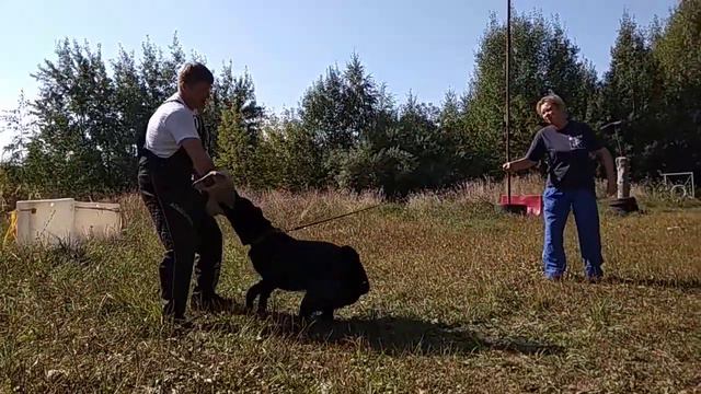 ВЕО Одиссея (Антарес Солярис Беркут хПрайда ) с Кузиным Андреем 9.09.18 смотреть онлайн