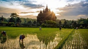 Фотоконкурс Природа 2014