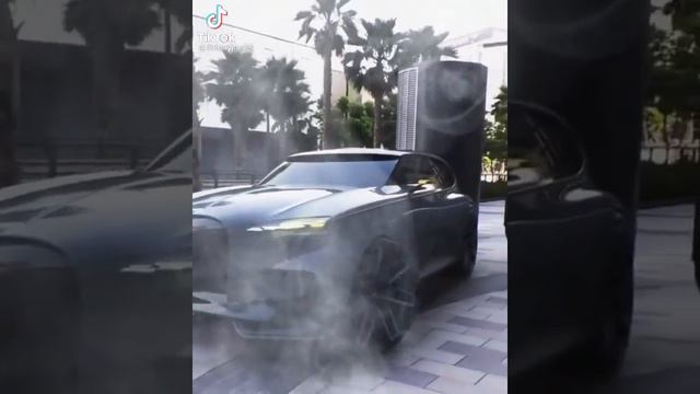 Bugatti буггати паркетник зверь лев