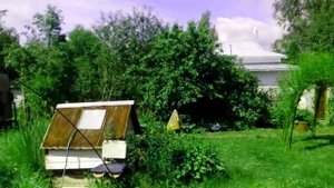 Беседка из ивы ,в восемь столбов paviva.ru