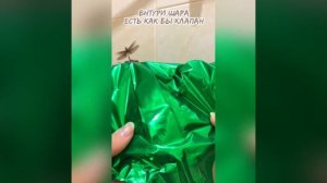 Как надуть фольгированный шарик