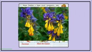 Окружающий мир 4 класс рабочая тетрадь. Жизнь леса