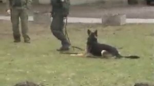 Обыск местности