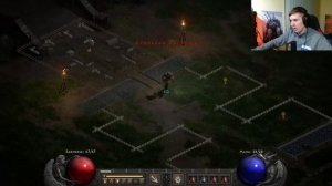 diablo 2 resurrected DRUID Первый взгляд, делюсь старыми секретами