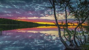 Природа кольского полуострова