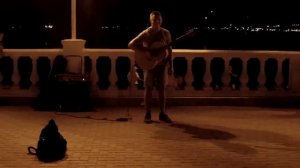 Прикольный уличный гитарист круто играет на набережной на Черном море в Геленджике на день города