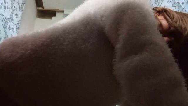 фитнес
