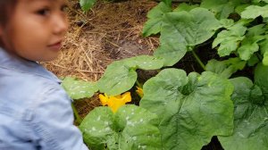 БЫТОВУХА ДЕРЕВЕНСКАЯ